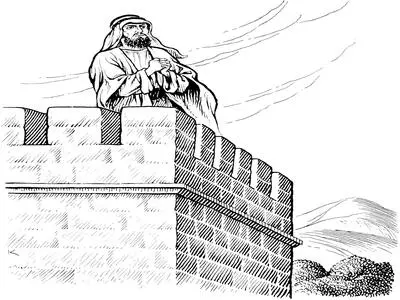 Sentinelle sur la muraille.jpg